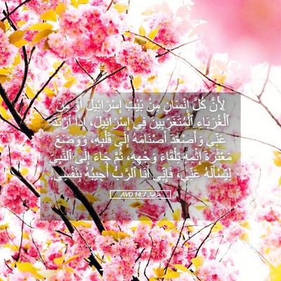 Picture 05 - حِزْقِيَال 14:7 AVD - لِأَنَّ كُلَّ إِنْسَانٍ - Bible Verse Picture