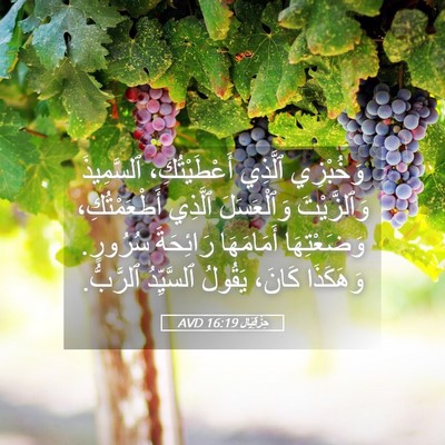 Picture 05 - حِزْقِيَال 16:19 AVD - وَخُبْزِي ٱلَّذِي - Bible Verse Picture
