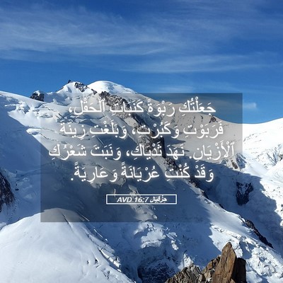 Picture 05 - حِزْقِيَال 16:7 AVD - جَعَلْتُكِ رَبْوَةً - Bible Verse Picture