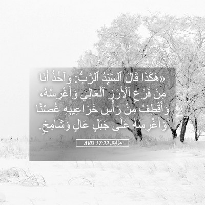Picture 05 - حِزْقِيَال 17:22 AVD - «هَكَذَا قَالَ ٱلسَّيِّدُ - Bible Verse Picture