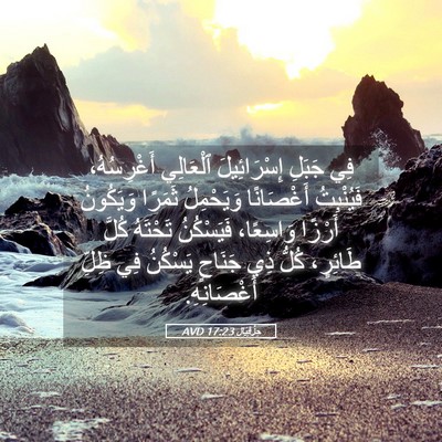 Picture 05 - حِزْقِيَال 17:23 AVD - فِي جَبَلِ إِسْرَائِيلَ - Bible Verse Picture