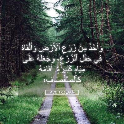 Picture 05 - حِزْقِيَال 17:5 AVD - وَأَخَذَ مِنْ زَرْعِ - Bible Verse Picture