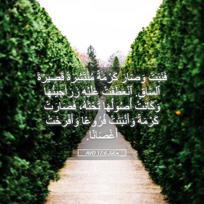 Picture 05 - حِزْقِيَال 17:6 AVD - فَنَبَتَ وَصَارَ كَرْمَةً - Bible Verse Picture