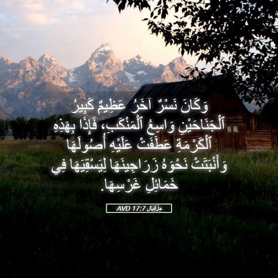 Picture 05 - حِزْقِيَال 17:7 AVD - وَكَانَ نَسْرٌ آخَرُ - Bible Verse Picture