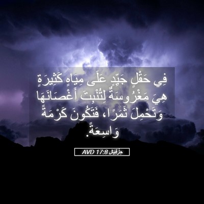 Picture 05 - حِزْقِيَال 17:8 AVD - فِي حَقْلٍ جَيِّدٍ عَلَى - Bible Verse Picture
