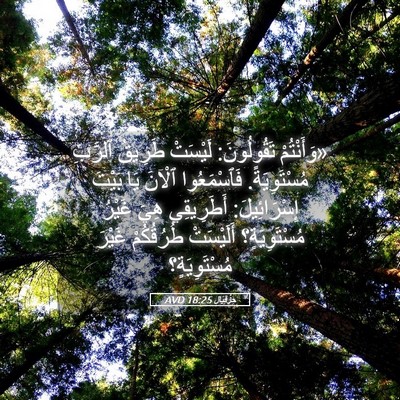 Picture 05 - حِزْقِيَال 18:25 AVD - «وَأَنْتُمْ تَقُولُونَ: - Bible Verse Picture