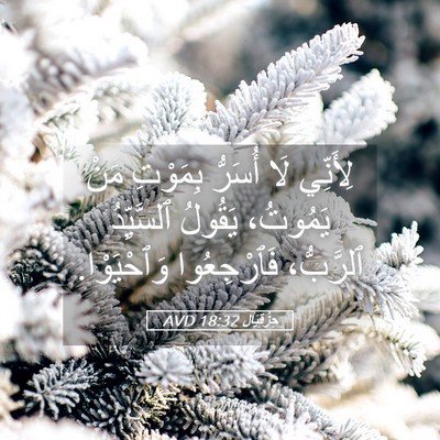 Picture 05 - حِزْقِيَال 18:32 AVD - لِأَنِّي لَا أُسَرُّ - Bible Verse Picture