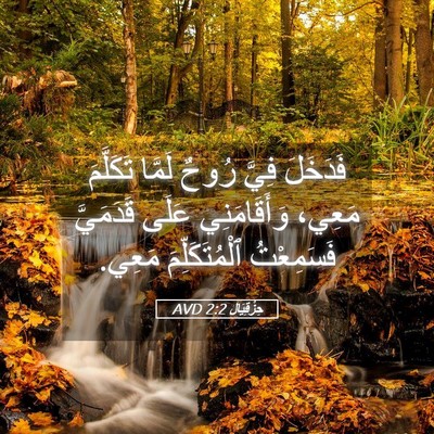 Picture 05 - حِزْقِيَال 2:2 AVD - فَدَخَلَ فِيَّ رُوحٌ - Bible Verse Picture