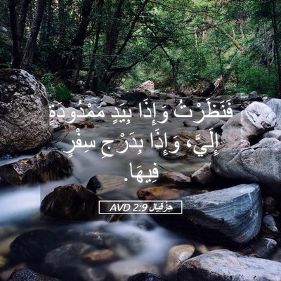 Picture 05 - حِزْقِيَال 2:9 AVD - فَنَظَرْتُ وَإِذَا بِيَدٍ - Bible Verse Picture