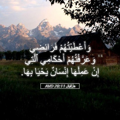 Picture 05 - حِزْقِيَال 20:11 AVD - وَأَعْطَيْتُهُمْ - Bible Verse Picture