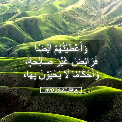 Picture 05 - حِزْقِيَال 20:25 AVD - وَأَعْطَيْتُهُمْ أَيْضًا - Bible Verse Picture
