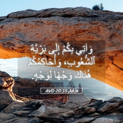 Picture 05 - حِزْقِيَال 20:35 AVD - وَآتِي بِكُمْ إِلَى - Bible Verse Picture