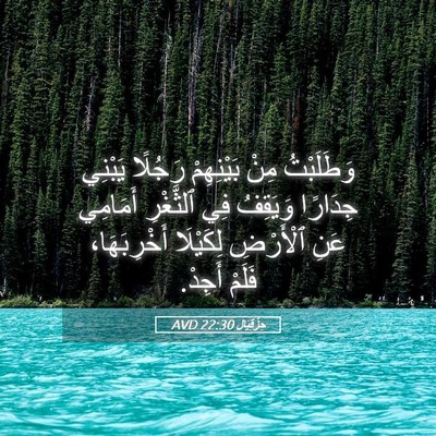Picture 05 - حِزْقِيَال 22:30 AVD - وَطَلَبْتُ مِنْ - Bible Verse Picture