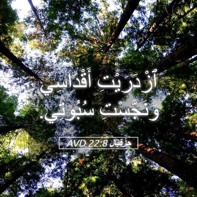 Picture 05 - حِزْقِيَال 22:8 AVD - ٱزْدَرَيْتِ أَقْدَاسِي - Bible Verse Picture