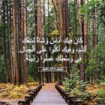 Picture 05 - حِزْقِيَال 22:9 AVD - كَانَ فِيكِ أُنَاسٌ - Bible Verse Picture