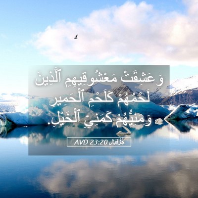 Picture 05 - حِزْقِيَال 23:20 AVD - وَعَشِقَتْ مَعْشُوقِيهِمِ - Bible Verse Picture