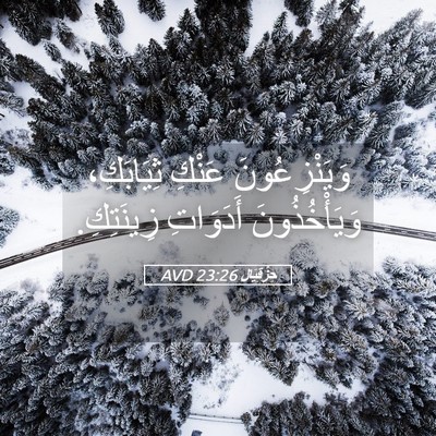 Picture 05 - حِزْقِيَال 23:26 AVD - وَيَنْزِعُونَ عَنْكِ - Bible Verse Picture