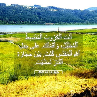 Picture 05 - حِزْقِيَال 28:14 AVD - أَنْتَ ٱلْكَرُوبُ - Bible Verse Picture
