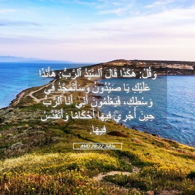 Picture 05 - حِزْقِيَال 28:22 AVD - وَقُلْ: هَكَذَا قَالَ - Bible Verse Picture