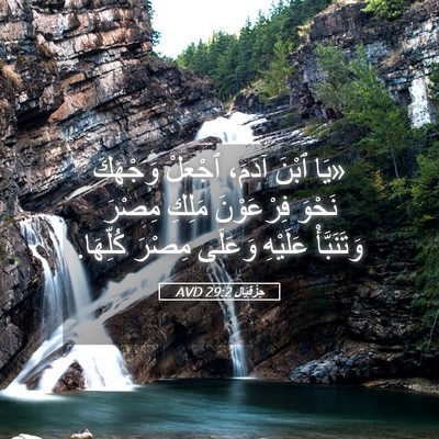 Picture 05 - حِزْقِيَال 29:2 AVD - «يَا ٱبْنَ آدَمَ، ٱجْعَلْ - Bible Verse Picture