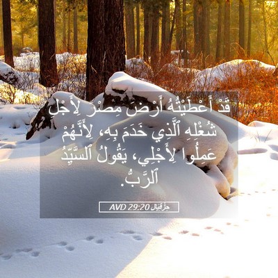 Picture 05 - حِزْقِيَال 29:20 AVD - قَدْ أَعْطَيْتُهُ أَرْضَ - Bible Verse Picture
