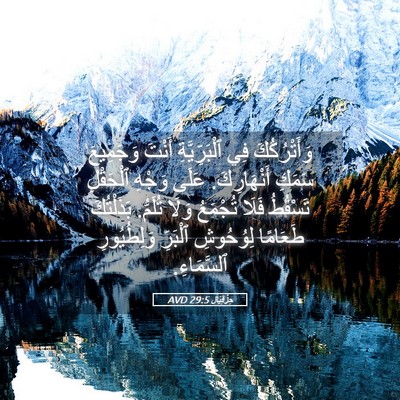 Picture 05 - حِزْقِيَال 29:5 AVD - وَأَتْرُكُكَ فِي - Bible Verse Picture