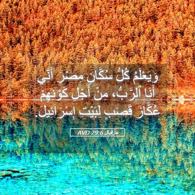 Picture 05 - حِزْقِيَال 29:6 AVD - وَيَعْلَمُ كُلُّ سُكَّانِ - Bible Verse Picture