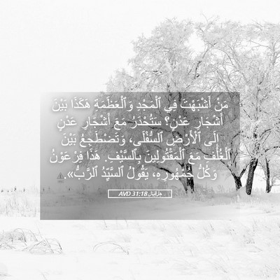 Picture 05 - حِزْقِيَال 31:18 AVD - مَنْ أَشْبَهْتَ فِي - Bible Verse Picture