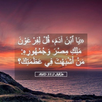 Picture 05 - حِزْقِيَال 31:2 AVD - «يَا ٱبْنَ آدَمَ، قُلْ - Bible Verse Picture