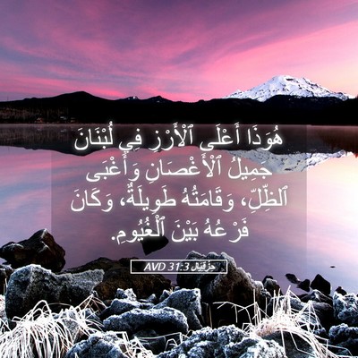 Picture 05 - حِزْقِيَال 31:3 AVD - هُوَذَا أَعْلَى ٱلْأَرْزِ - Bible Verse Picture