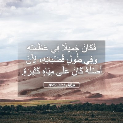 Picture 05 - حِزْقِيَال 31:7 AVD - فَكَانَ جَمِيلًا فِي - Bible Verse Picture