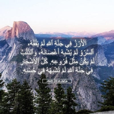 Picture 05 - حِزْقِيَال 31:8 AVD - اَلْأَرْزُ فِي جَنَّةِ - Bible Verse Picture