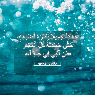 Picture 05 - حِزْقِيَال 31:9 AVD - جَعَلْتُهُ جَمِيلًا - Bible Verse Picture