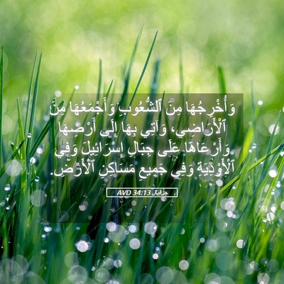Picture 05 - حِزْقِيَال 34:13 AVD - وَأُخْرِجُهَا مِنَ - Bible Verse Picture