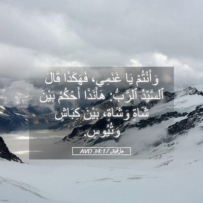 Picture 05 - حِزْقِيَال 34:17 AVD - وَأَنْتُمْ يَا غَنَمِي، - Bible Verse Picture