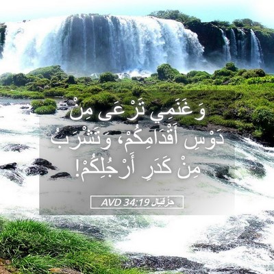 Picture 05 - حِزْقِيَال 34:19 AVD - وَغَنَمِي تَرْعَى مِنْ - Bible Verse Picture