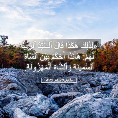 Picture 05 - حِزْقِيَال 34:20 AVD - «لِذَلِكَ هَكَذَا قَالَ - Bible Verse Picture