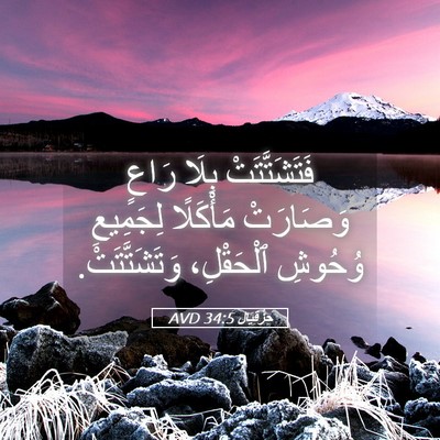 Picture 05 - حِزْقِيَال 34:5 AVD - فَتَشَتَّتَتْ بِلَا رَاعٍ - Bible Verse Picture