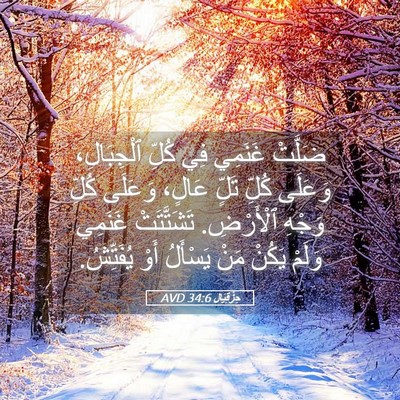 Picture 05 - حِزْقِيَال 34:6 AVD - ضَلَّتْ غَنَمِي فِي كُلِّ - Bible Verse Picture