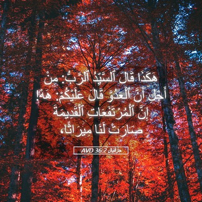 Picture 05 - حِزْقِيَال 36:2 AVD - هَكَذَا قَالَ ٱلسَّيِّدُ - Bible Verse Picture
