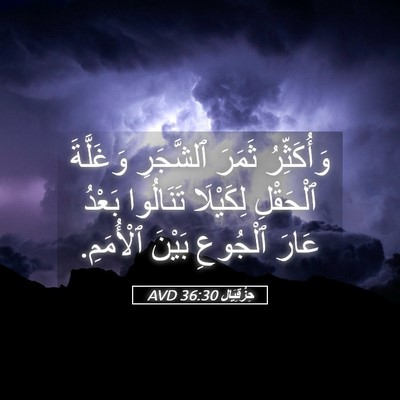 Picture 05 - حِزْقِيَال 36:30 AVD - وَأُكَثِّرُ ثَمَرَ - Bible Verse Picture