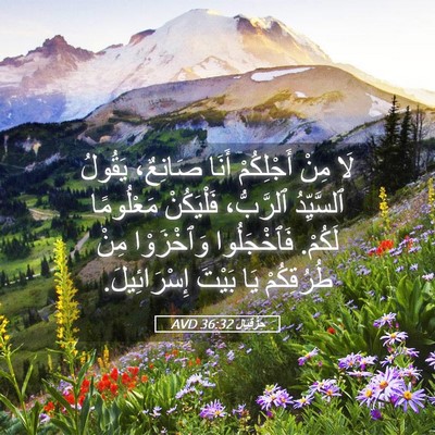 Picture 05 - حِزْقِيَال 36:32 AVD - لَا مِنْ أَجْلِكُمْ أَنَا - Bible Verse Picture