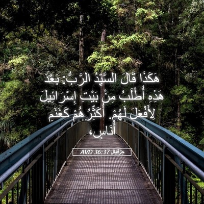 Picture 05 - حِزْقِيَال 36:37 AVD - هَكَذَا قَالَ السَّيِّدُ - Bible Verse Picture