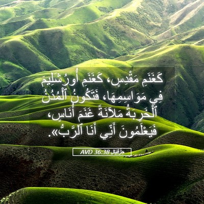 Picture 05 - حِزْقِيَال 36:38 AVD - كَغَنَمِ مَقْدِسٍ، - Bible Verse Picture