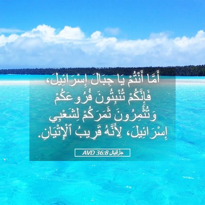 Picture 05 - حِزْقِيَال 36:8 AVD - أَمَّا أَنْتُمْ يَا - Bible Verse Picture