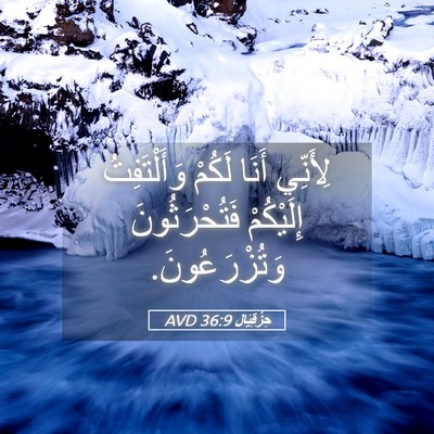 Picture 05 - حِزْقِيَال 36:9 AVD - لِأَنِّي أَنَا لَكُمْ - Bible Verse Picture