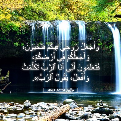 Picture 05 - حِزْقِيَال 37:14 AVD - وأَجْعَلُ رُوحِي فِيكُمْ - Bible Verse Picture