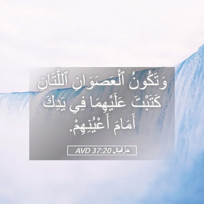 Picture 05 - حِزْقِيَال 37:20 AVD - وَتَكُونُ ٱلْعَصَوَانِ - Bible Verse Picture
