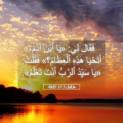 Picture 05 - حِزْقِيَال 37:3 AVD - فَقَالَ لِي: «يَا ٱبْنَ - Bible Verse Picture