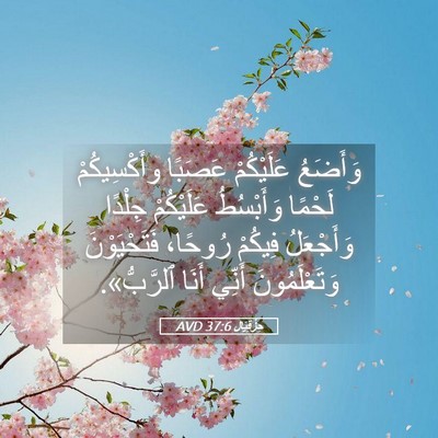Picture 05 - حِزْقِيَال 37:6 AVD - وَأَضَعُ عَلَيْكُمْ - Bible Verse Picture